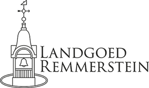Remmerstein logo